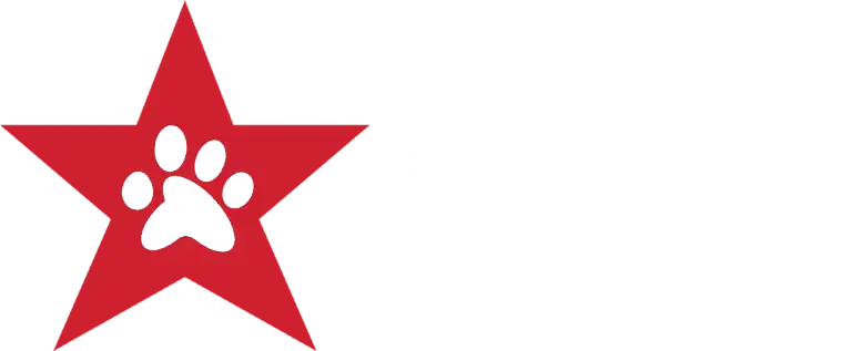 FSD-Logo-2026-1