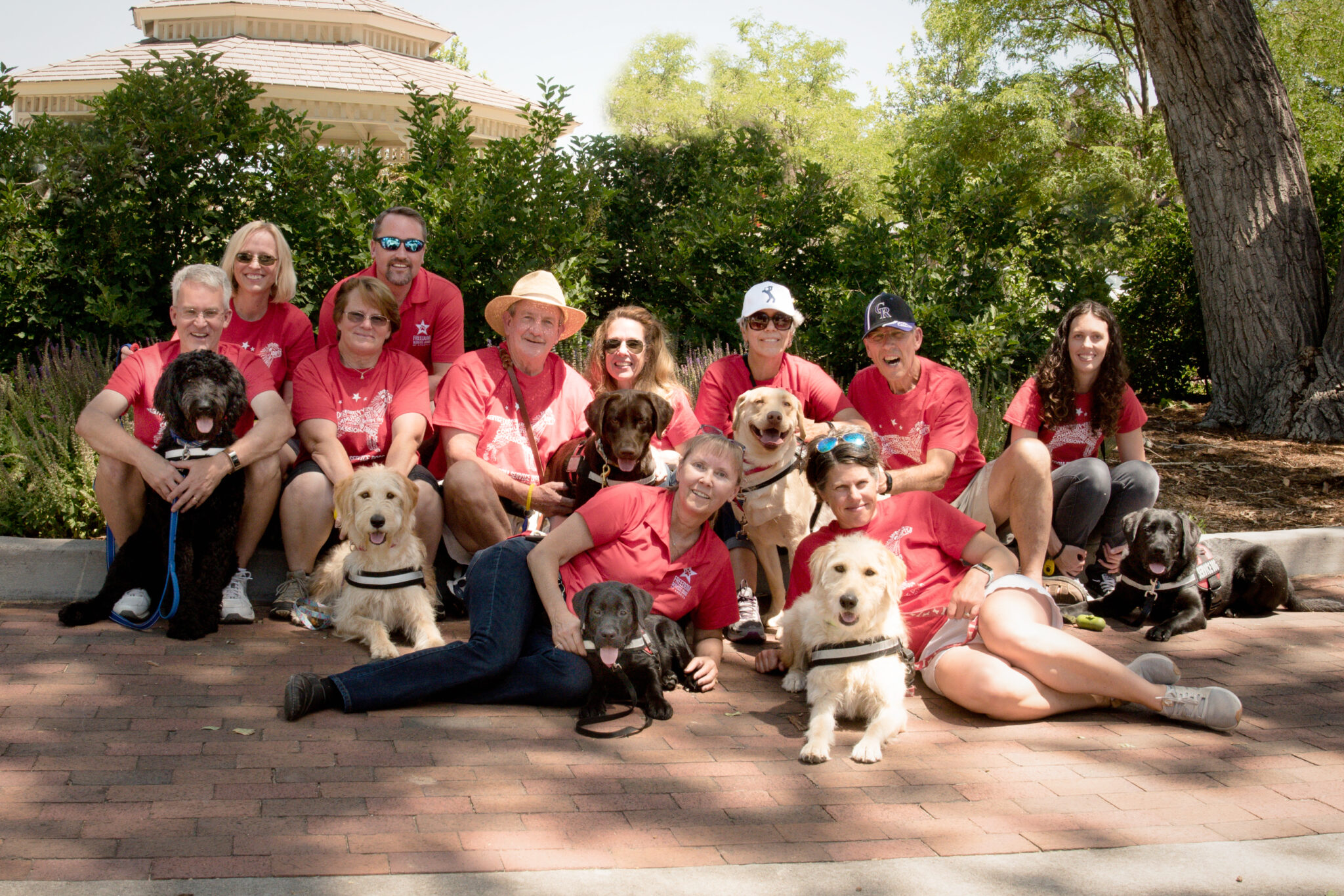 Volunteer - Freedom Service Dogs