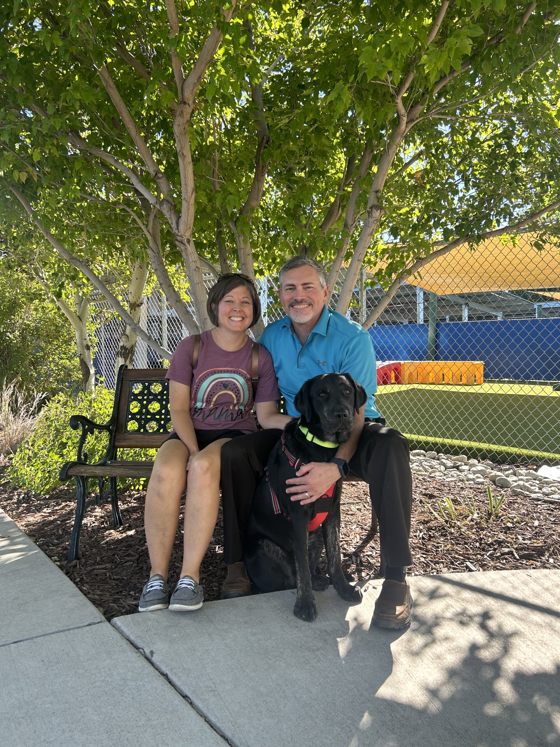 Woman wearing a purple shirt and a man wearing a blue shirt sit on a bench under a tree with a black and tan Labrador Retriever Skilled Companion Dog.
