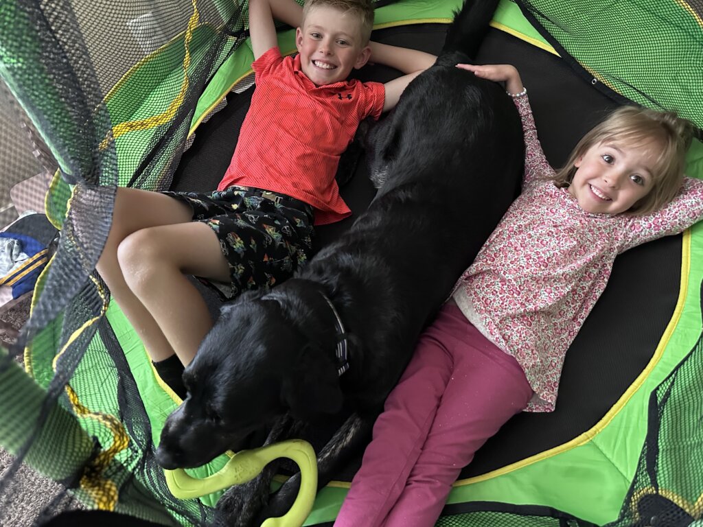 Two kids laying on a trampoline with a black Labrador Retriever Skilled Companion Dog.