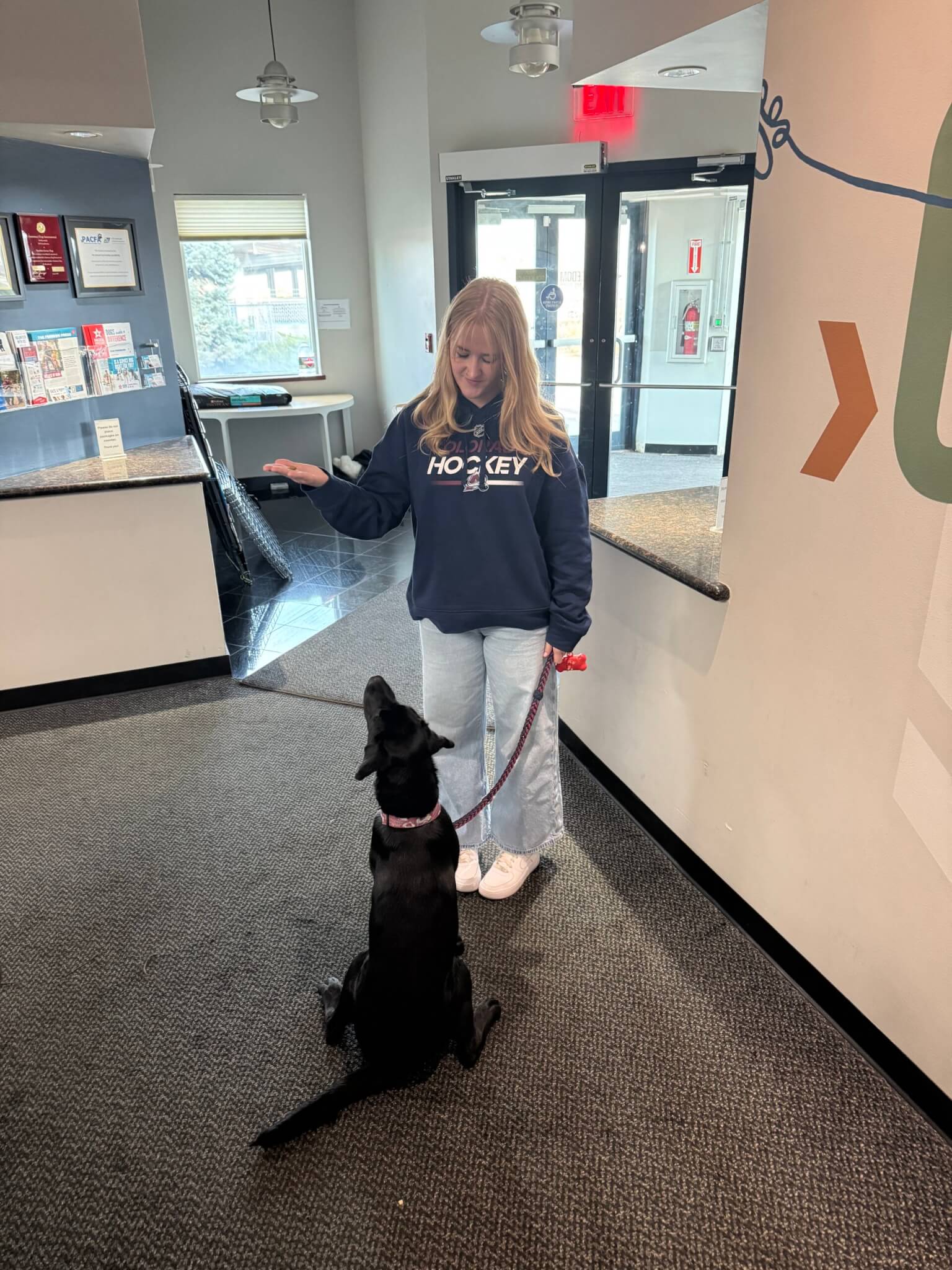 Colorado Avalanche Team Dog Maxy playing the "engage/disengage" enrichment game with a handler/dog trainer.
