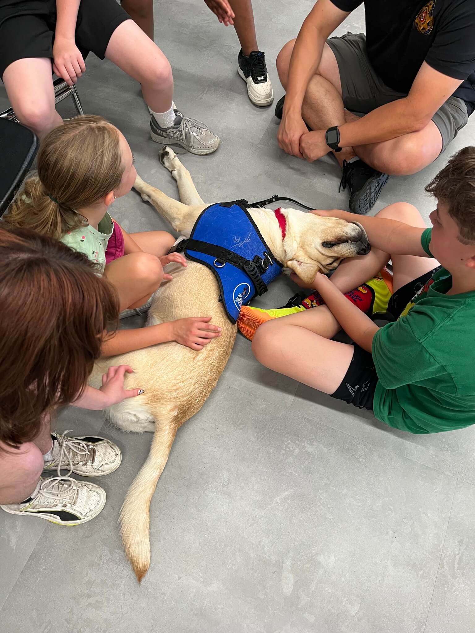 FSD Facility Dog Guster, a yellow Lab wearing a blue therapy dog vest, being pet by Colorado middle school students.