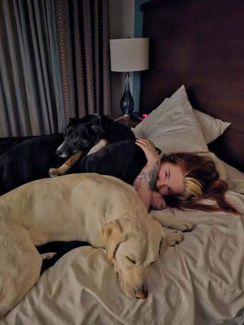 A young woman laying in bed with her two dogs, one of which is an elderly black and white dog and the other is a sleeping yellow Labrador Retriever.