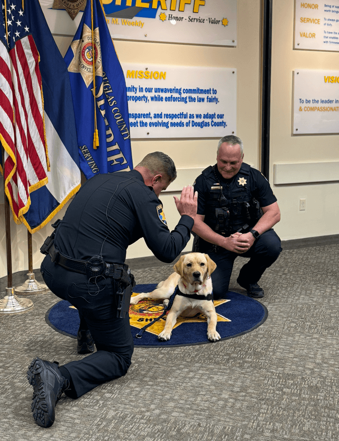 Guster, a yellow Labrador Retriever and FSD Facility Dog, with two members of law enforcement at his swearing in ceremony.