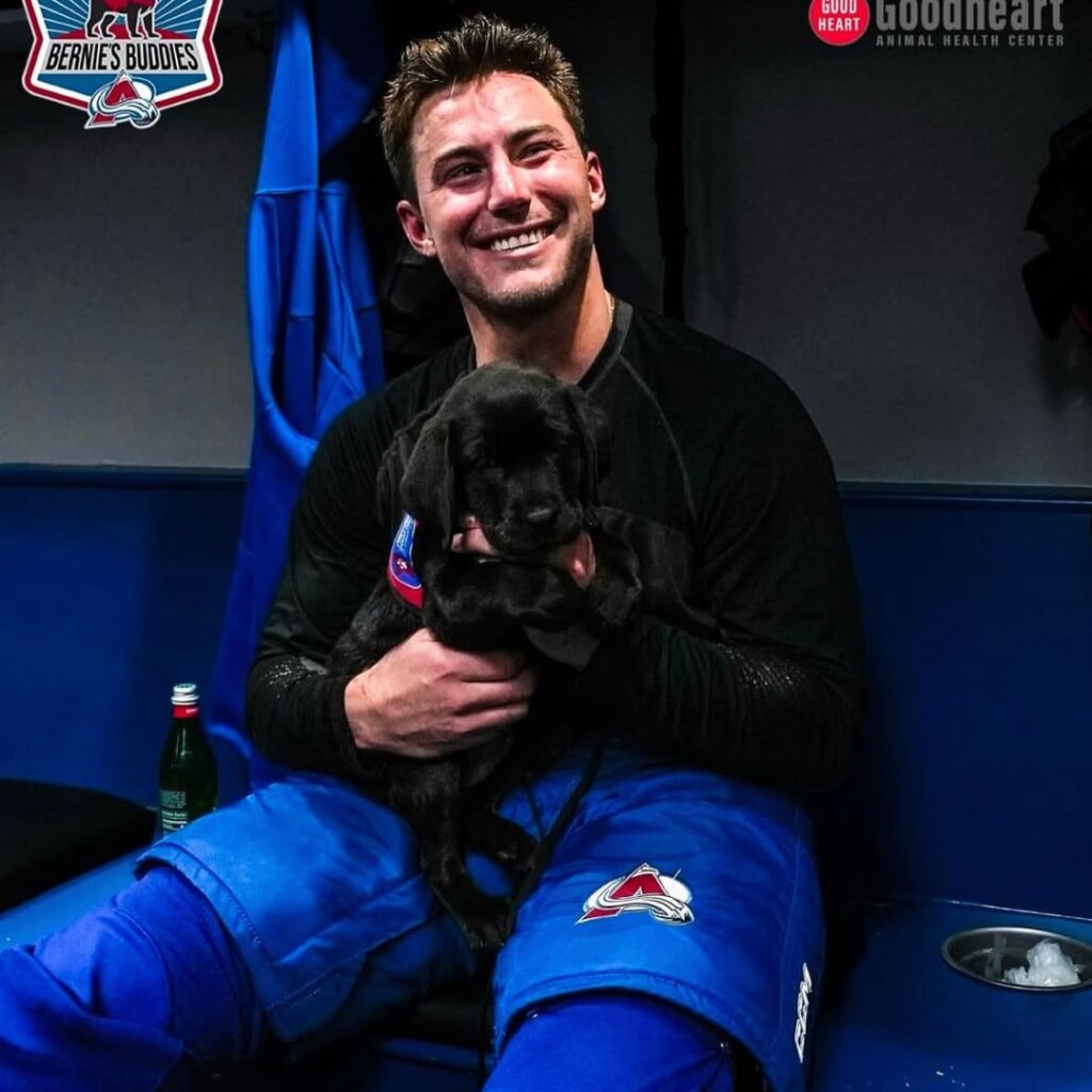 Black Labrador Retriever puppy with Colorado Avalanche player.