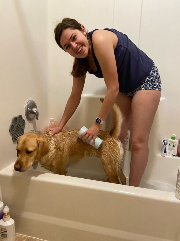 A young woman with light brown hair wearing a blue tank top and printed shorts. She is standing in a tub washing her wet yellow Labrador Retriever.