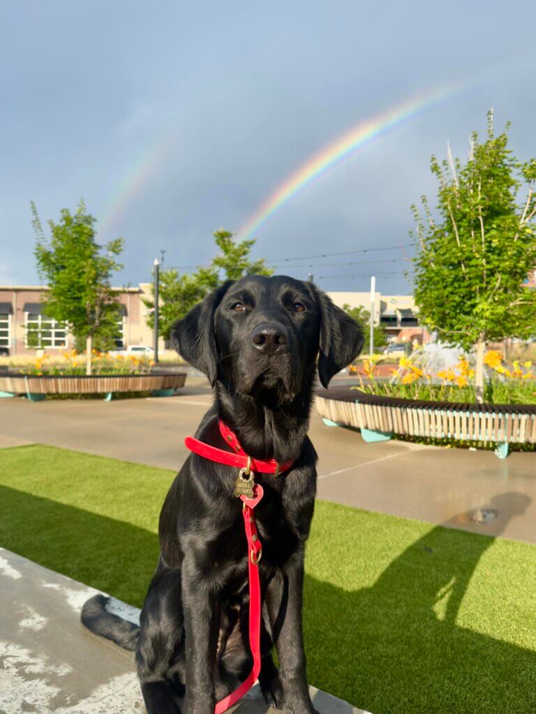 River standing in front of a rainbow.