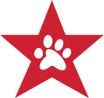 star-icon