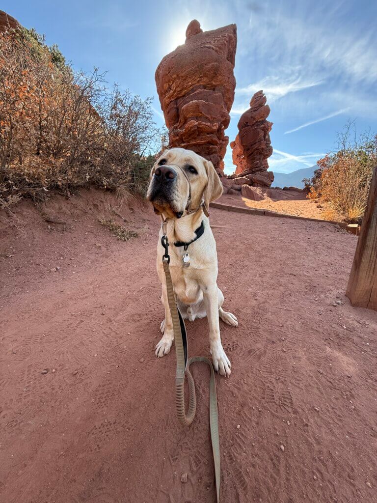 Scooby at Arches National Park.