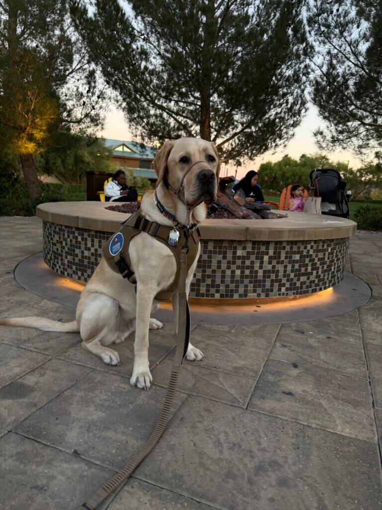 Scooby with a fireplace.