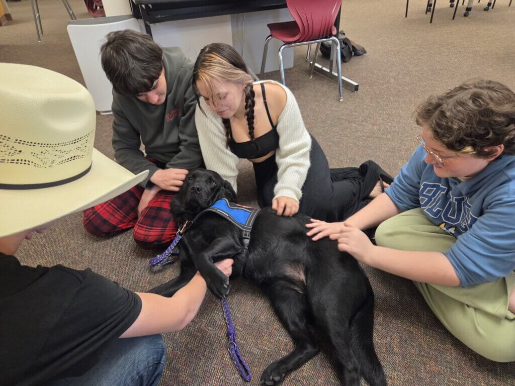 Freedom Service Dogs Facility Dog