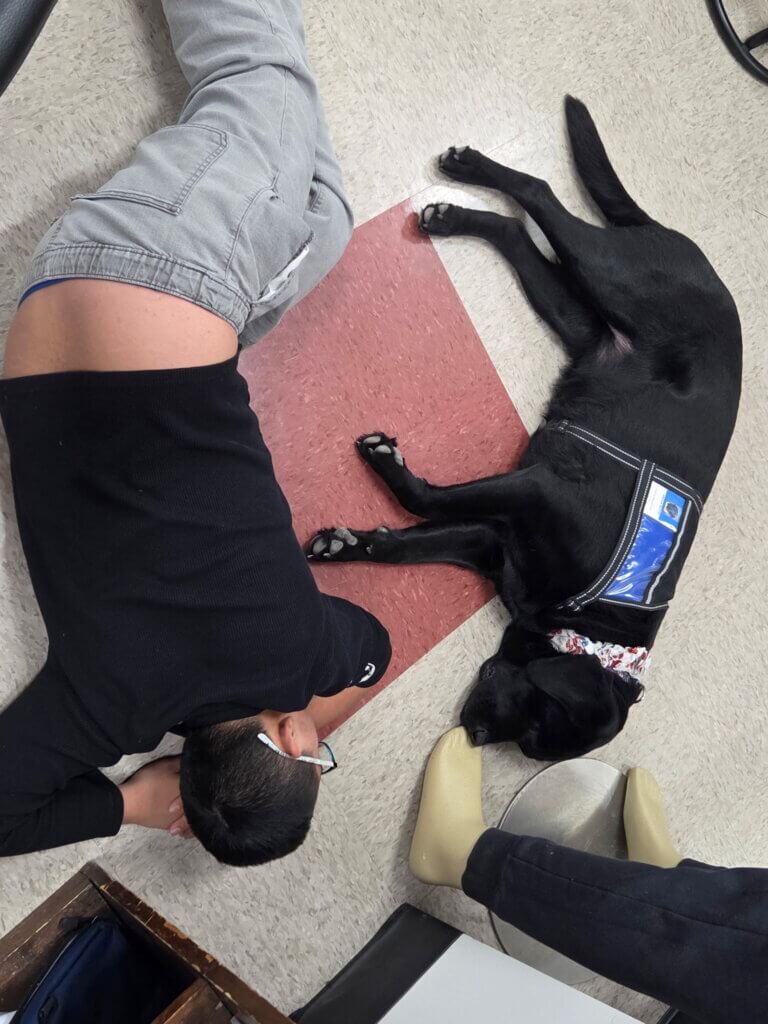 Facility dog with students.