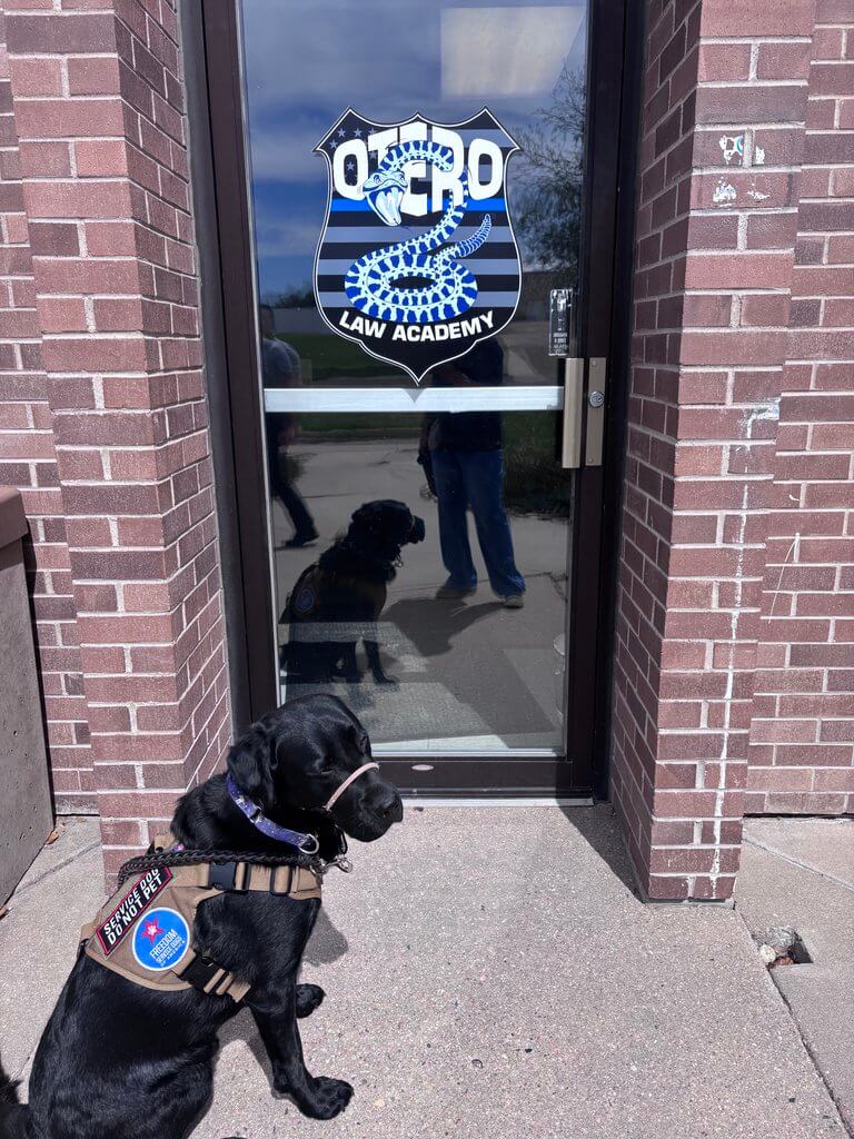 Service dog Huxley at law academy.