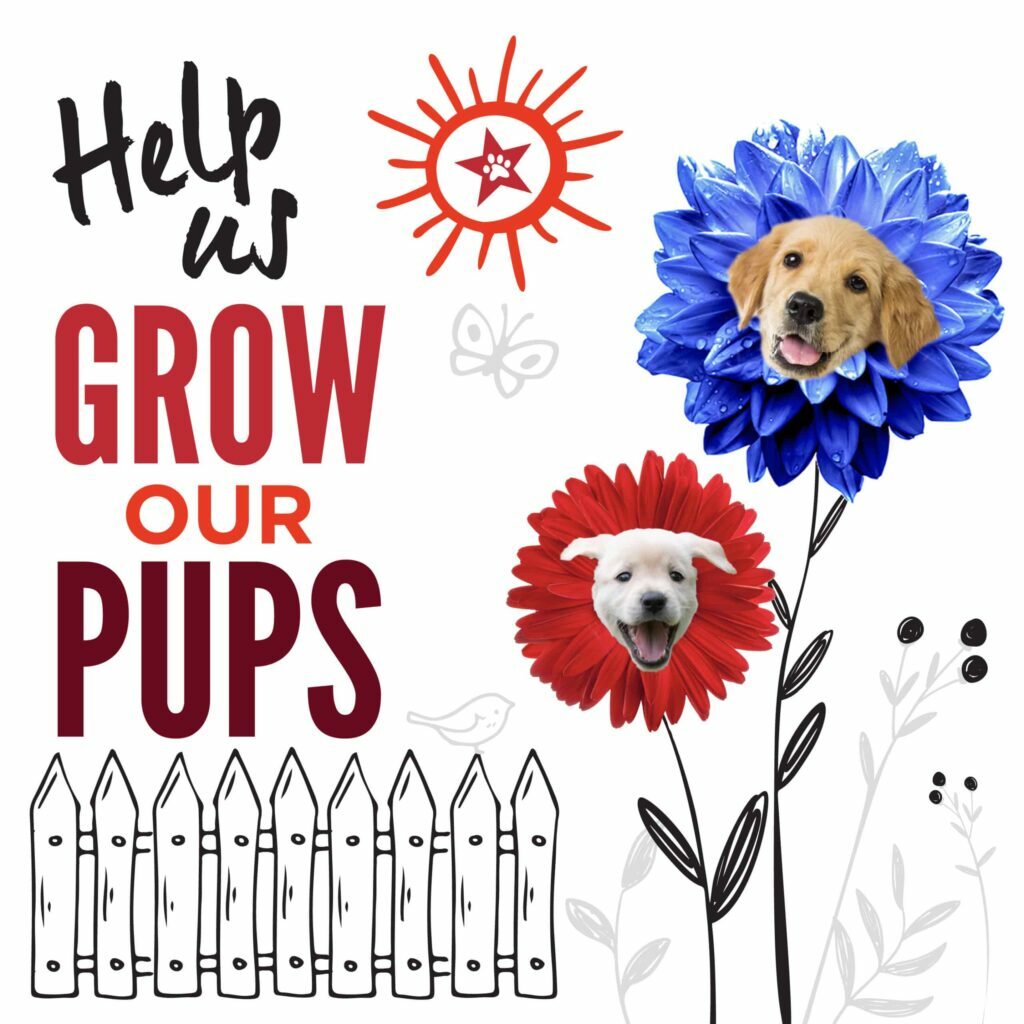 Grow Our Pups Graphics_Insta 6