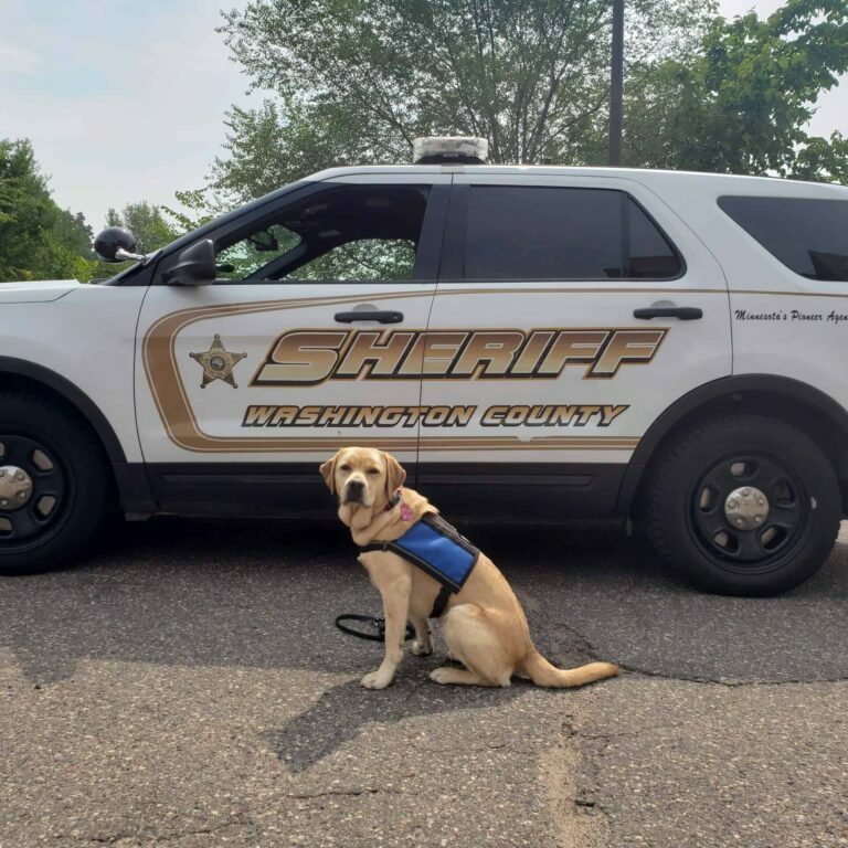 Rookie in front of patrol car