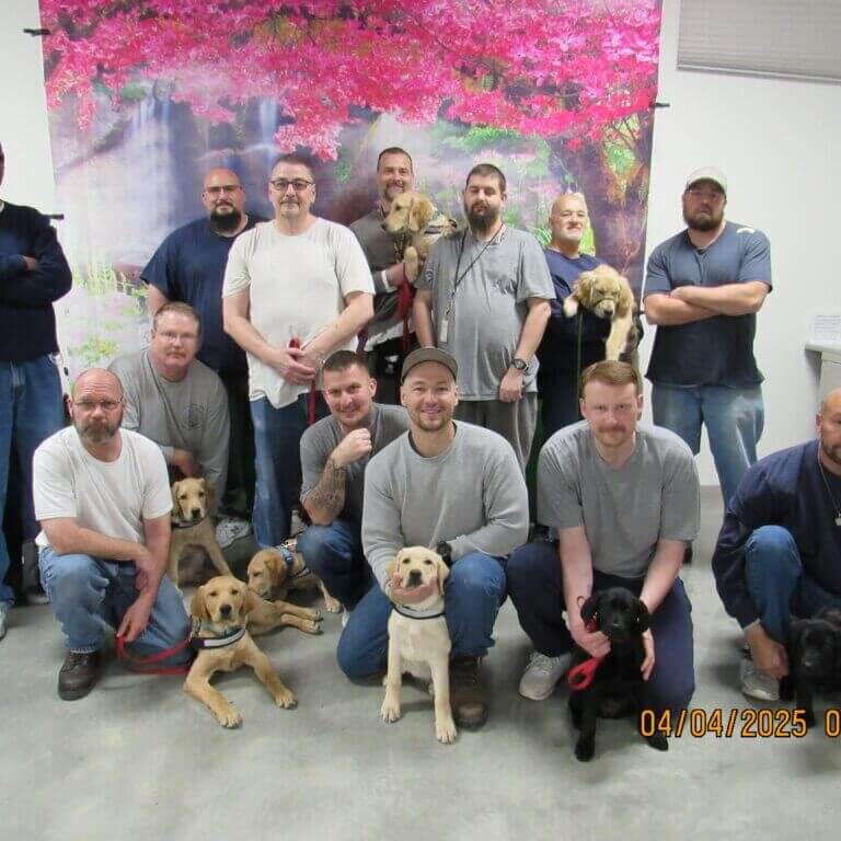 Inmate handlers puppy prison program.